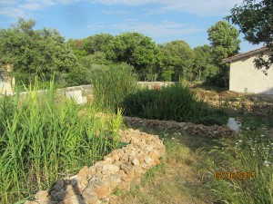 Bassin d'assainissement pour les sanitaires