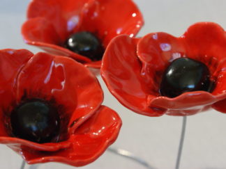 coquelicot